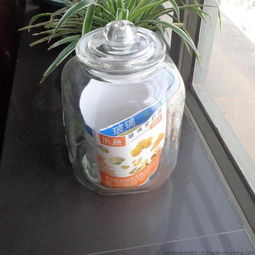 匠心之选 贵港市尚丽玻璃制品，用玻璃罐盛放生活与佳酿